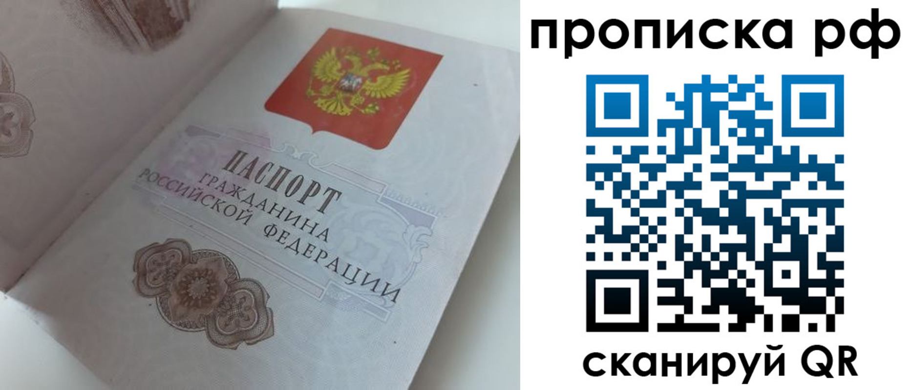 временная регистрация для школы в Шебекино